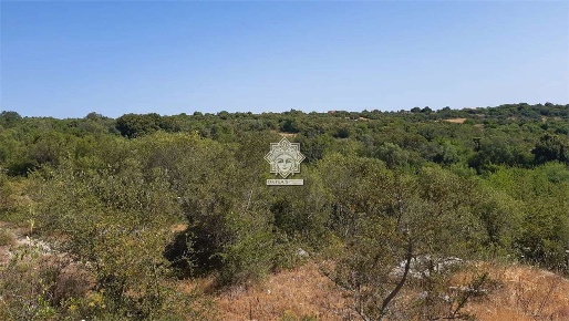 Foto Terreno agricolo in SP 14, Noto di 30000 m² in vendita