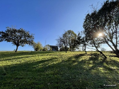 Foto Terreno edificabile in Strada Sagnacana, Traversetolo di 5900 m²