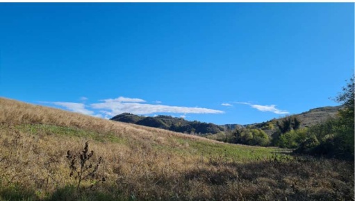 Foto Terreno agricolo in Via Cavaioni, Bologna Collinare in vendita