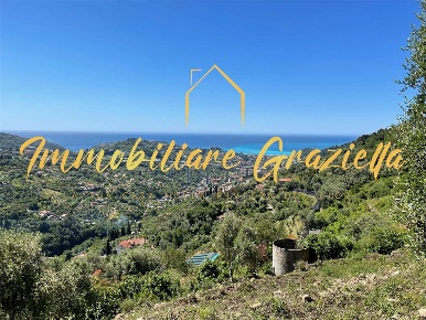 Foto Terreno edificabile a Vallebona di 1100 m² in vendita