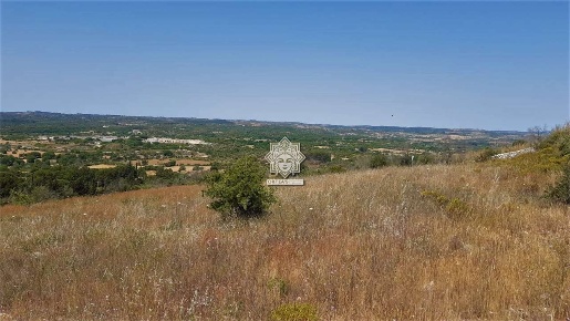 Foto Terreno agricolo in SP 4, Noto di 50000 m² in vendita