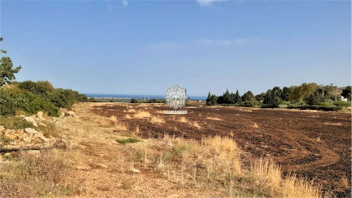Foto Terreno agricolo in SP 38, Noto di 60000 m² in vendita