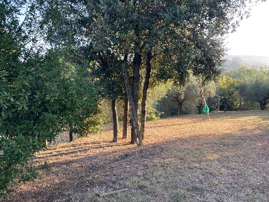 Foto Terreno edificabile a Deruta di 2937 m² in vendita