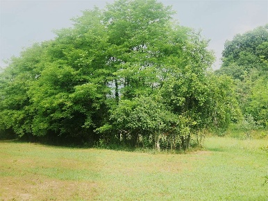 Foto Terreno edificabile a Tarzo di 2368 m² in vendita