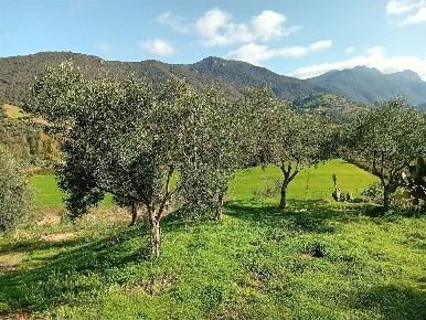 Foto Terreno edificabile a Jerzu di 10000 m² in vendita
