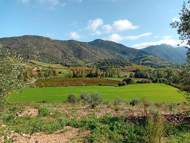 Foto Terreno edificabile a Jerzu di 10000 m² in vendita