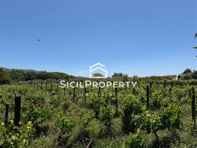 Foto Terreno agricolo in Contrada Friera, Linguaglossa di 16000 m²
