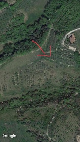 Foto Terreno agricolo a Deruta di 50000 m² in vendita