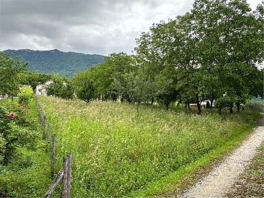Foto Terreno edificabile a Fregona di 1980 m² in vendita