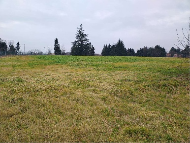 Foto Terreno agricolo a Reggio nell'Emilia di 22500 m² in vendita
