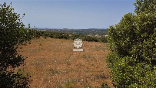 Foto Terreno agricolo in SP 4, Noto di 35000 m² in vendita