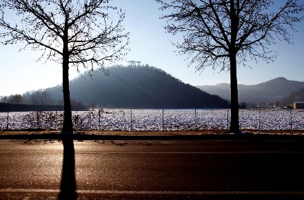 Foto Terreno agricolo in via Castello, Montegrotto Terme Centro in vendita