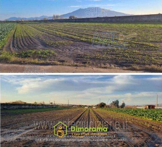 Foto Terreno agricolo in Contrada Candelara, Acerra di 2400 m² in vendita