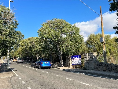 Foto Terreno edificabile in ss 125, Arzachena in vendita