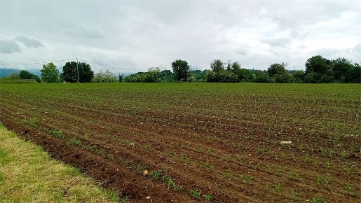 Foto Terreno agricolo a Cantù di 34000 m² in vendita