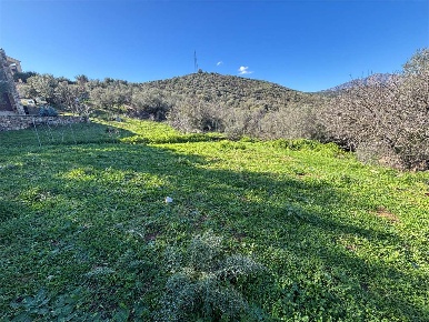Foto Terreno edificabile a Budoni in vendita
