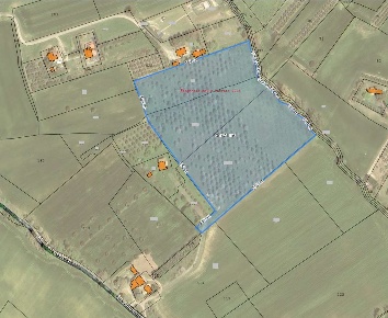 Foto Terreno agricolo a Sant'Elpidio a Mare di 31000 m² in vendita