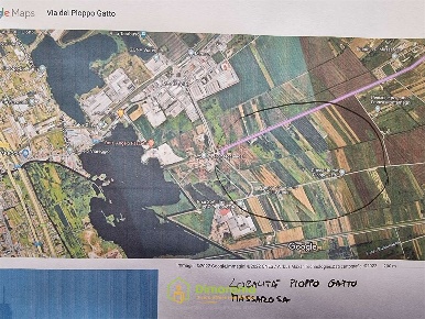 Foto Terreno agricolo in via pioppo gatto, Massarosa di 11000 m² in vendita