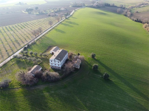 immagine annuncio 5 di 13