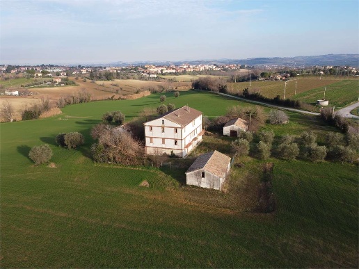 immagine annuncio 6 di 13