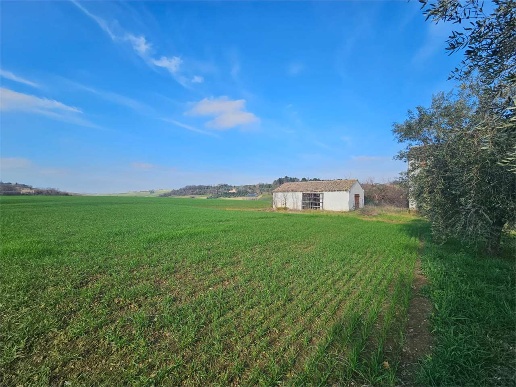 immagine annuncio 7 di 13