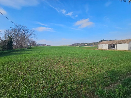 immagine annuncio 8 di 13