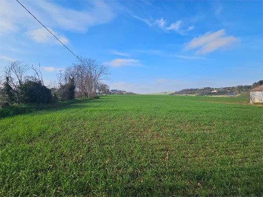 immagine annuncio 10 di 13