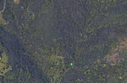 Foto Terreno agricolo a Olgiate Molgora in vendita