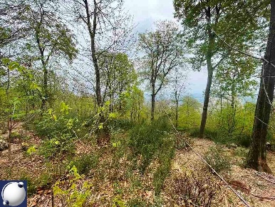 Foto Terreno agricolo in Via Partigiana, Albavilla di 10000 m² in vendita