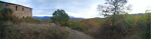 Foto Terreno agricolo in Via Preggio, Umbertide in vendita