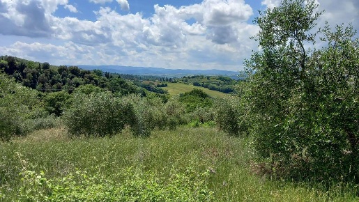 Foto Terreno agricolo a Deruta di 62000 m² in vendita
