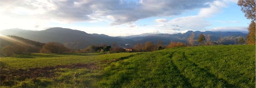 Foto Terreno edificabile a Castelnuovo di Garfagnana Centro di 1310 m²