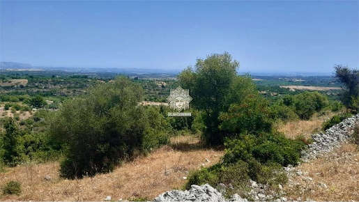 Foto Terreno agricolo a Noto di 30000 m² in vendita