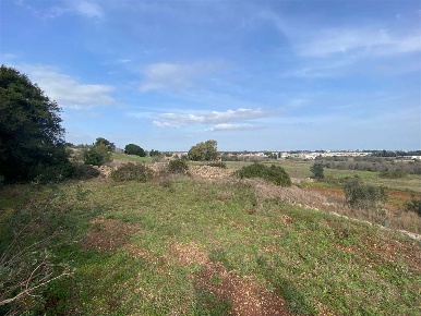 Foto Terreno edificabile in barbarano, Morciano di Leuca Barbarano Del Capo