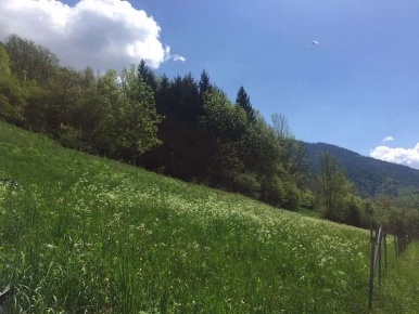 Foto Terreno edificabile in Strada Provinciale 135 23, Frassilongo
