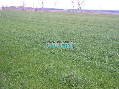 Foto Terreno agricolo a Castagneto Carducci di 10000 m² in vendita