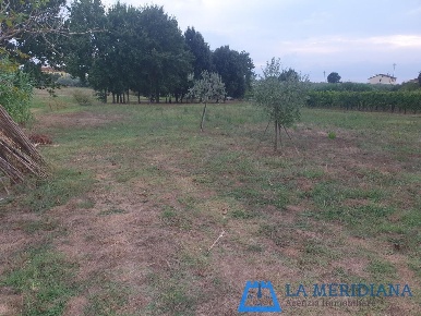 Foto Terreno agricolo a Larciano San Rocco di 3155 m² in vendita