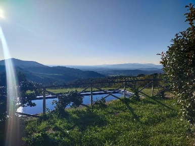 Foto Terreno agricolo a Campagnatico Centro di 550 m² in vendita