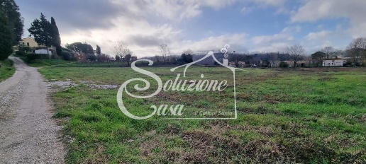 Foto Terreno residenziale a Fauglia di 2000 m² in vendita