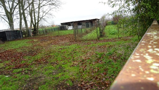 Foto Terreno agricolo a Larciano di 2500 m² in vendita