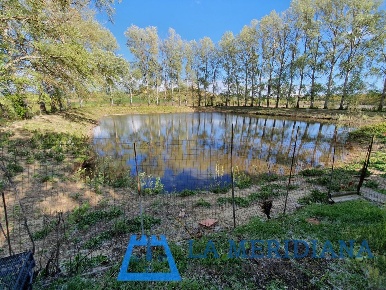 Foto Terreno agricolo a Cerreto Guidi Centro di 21500 m² in vendita