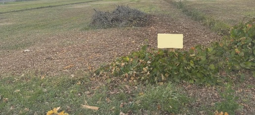 Foto Terreno residenziale a Porcari Padule di 750 m² in vendita