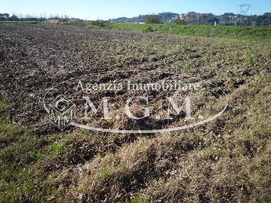 Foto Terreno agricolo a Santa Maria a Monte di 2500 m² in vendita