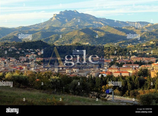 immagine annuncio 4 di 6