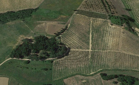 Foto Terreno agricolo a Cerreto Guidi Centro di 45000 m² in vendita