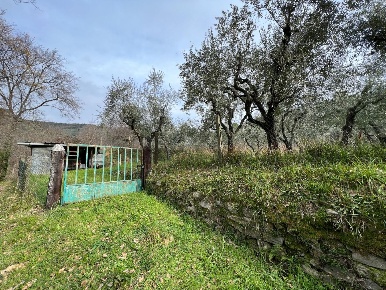 Foto Terreno agricolo a Lucca Balbano di 1500 m² in vendita