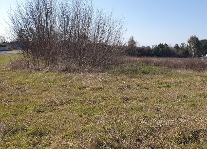 Foto Terreno residenziale a Lamporecchio Centro di 2970 m² in vendita