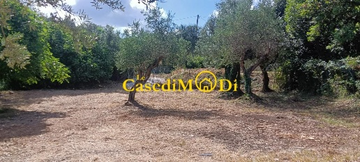 Foto Terreno agricolo a Livorno Montenero Basso - Montenero Alto di 1600 m²