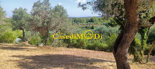 Foto Terreno agricolo a Livorno Montenero Basso - Montenero Alto di 1600 m²