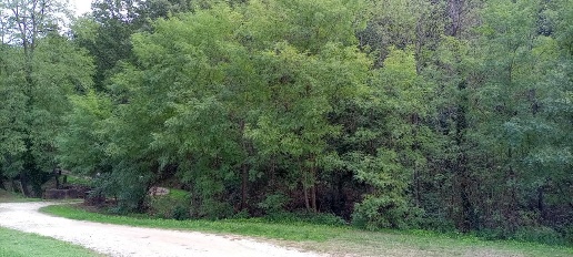Foto Terreno agricolo a Lamporecchio Centro di 10000 m² in vendita